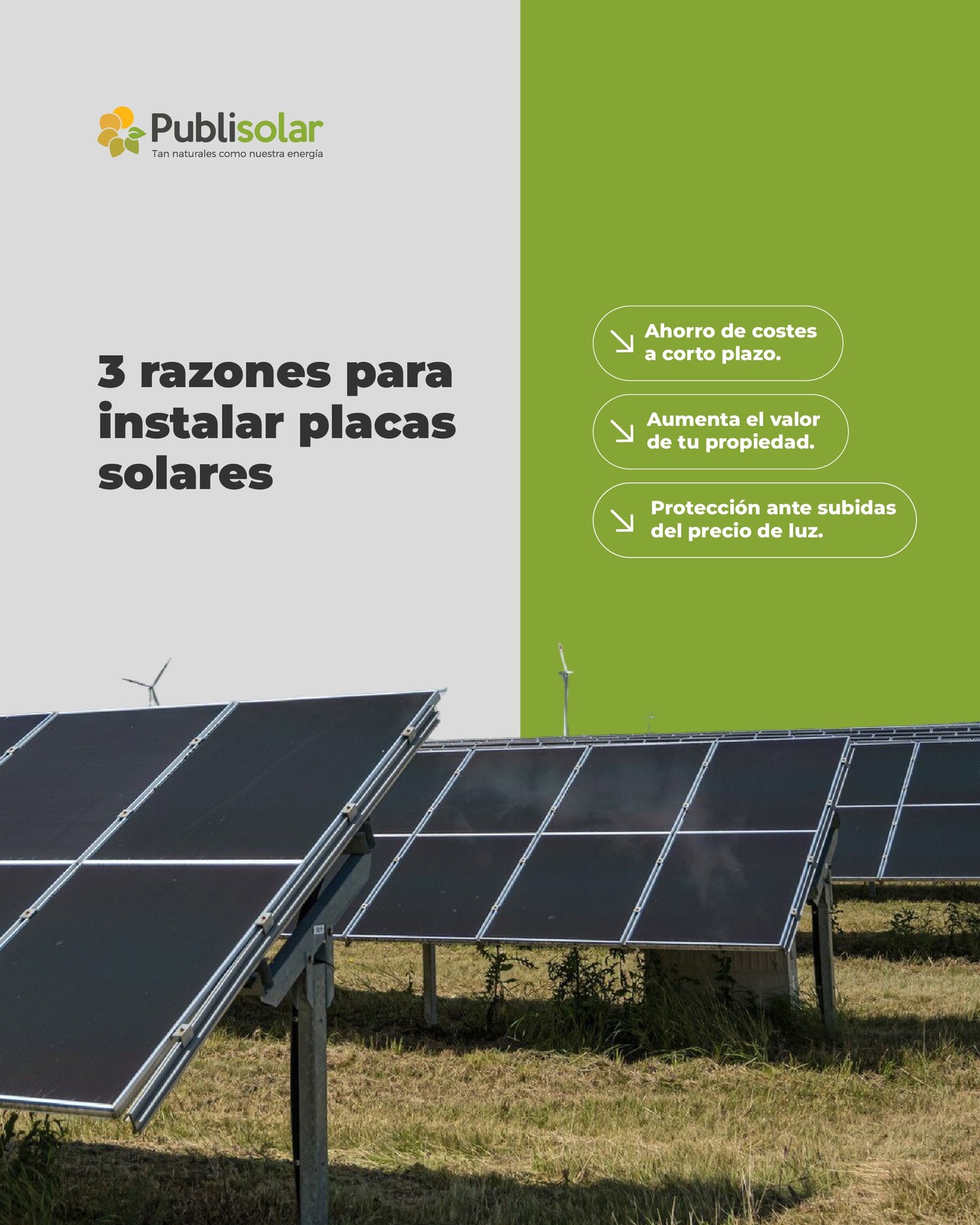 ¿Aún te lo estás pensando?
☀️ 3 razones para instalar placas solares antes de que acabe el año:
💸 Ahorro real desde el primer día.
🏡 Aumenta el valor de tu propiedad.
⚡ Te proteges ante las subidas de la luz.
No esperes a que termine el año para empezar a ahorrar.
Publisolar — la energía que te conecta. ⚡