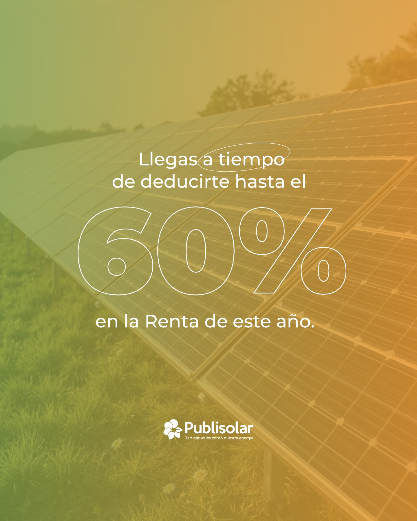 𝗢𝗰𝘁𝘂𝗯𝗿𝗲 𝗲𝘀 𝗲𝗹 𝗺𝗲𝘀 𝗹𝗶́𝗺𝗶𝘁𝗲 𝗽𝗮𝗿𝗮 𝗻𝗼 𝗽𝗲𝗿𝗱𝗲𝗿 𝗺𝗶𝗹𝗲𝘀 𝗱𝗲 𝗲𝘂𝗿𝗼𝘀 𝗲𝗻 𝘁𝘂 𝗽𝗿𝗼́𝘅𝗶𝗺𝗮 𝗱𝗲𝗰𝗹𝗮𝗿𝗮𝗰𝗶𝗼́𝗻 𝗱𝗲 𝗹𝗮 𝗥𝗲𝗻𝘁𝗮. 🗓️💶
Si tienes una vivienda unifamiliar, este 2026 puedes financiar hasta el 60% de tu instalación de placas solares gracias a las deducciones estatales del IRPF. Pero hay un detalle crucial: para poder aplicártelo en la Renta de este año, la instalación y los Certificados de Eficiencia Energética deben estar totalmente cerrados antes del 31 de diciembre.
El tiempo corre, pero en Publisolar activamos nuestra Gestión 360º para que tú no muevas un solo papel:
📊 𝗘𝘀𝘁𝘂𝗱𝗶𝗼 𝘁𝗲́𝗰𝗻𝗶𝗰𝗼 𝗴𝗿𝗮𝘁𝘂𝗶𝘁𝗼: 𝗗𝗶𝘀𝗲𝗻̃𝗮𝗺𝗼𝘀 𝗲𝗹 𝘀𝗶𝘀𝘁𝗲𝗺𝗮 𝗶𝗱𝗼́𝗻𝗲𝗼 𝗽𝗮𝗿𝗮 𝗺𝗮𝘅𝗶𝗺𝗶𝘇𝗮𝗿 𝘁𝘂 𝗮𝗵𝗼𝗿𝗿𝗼 𝘆 𝗹𝗮 𝗱𝗲𝗱𝘂𝗰𝗰𝗶𝗼́𝗻.
📑 𝗧𝗿𝗮́𝗺𝗶𝘁𝗲 𝗱𝗲 𝗰𝗲𝗿𝘁𝗶𝗳𝗶𝗰𝗮𝗱𝗼𝘀 𝗼𝗳𝗶𝗰𝗶𝗮𝗹𝗲𝘀: 𝗚𝗲𝘀𝘁𝗶𝗼𝗻𝗮𝗺𝗼𝘀 𝗹𝗼𝘀 𝙘𝙚𝙧𝙩𝙞𝙛𝙞𝙘𝙖𝙙𝙤𝙨 𝙚𝙣𝙚𝙧𝙜𝙚́𝙩𝙞𝙘𝙤𝙨 (𝗮𝗻𝘁𝗲𝘀 𝘆 𝗱𝗲𝘀𝗽𝘂𝗲́𝘀 𝗱𝗲 𝗹𝗮 𝗼𝗯𝗿𝗮), 𝗲𝗹 𝗿𝗲𝗾𝘂𝗶𝘀𝗶𝘁𝗼 𝗶𝗺𝗽𝗿𝗲𝘀𝗰𝗶𝗻𝗱𝗶𝗯𝗹𝗲 𝗽𝗮𝗿𝗮 𝗛𝗮𝗰𝗶𝗲𝗻𝗱𝗮.
👷♂️ 𝗜𝗻𝘀𝘁𝗮𝗹𝗮𝗰𝗶𝗼́𝗻 𝗿𝗮́𝗽𝗶𝗱𝗮 𝗲 𝗶𝗻-𝗵𝗼𝘂𝘀𝗲: 𝗦𝗶𝗻 𝘀𝘂𝗯𝗰𝗼𝗻𝘁𝗿𝗮𝘁𝗮𝘀, 𝘀𝗶𝗻 𝗰𝘂𝗲𝗹𝗹𝗼𝘀 𝗱𝗲 𝗯𝗼𝘁𝗲𝗹𝗹𝗮 𝘆 𝗰𝗼𝗻 𝗹𝗮 𝗴𝗮𝗿𝗮𝗻𝘁𝗶́𝗮 𝗱𝗲 𝗹𝗹𝗲𝗴𝗮𝗿 𝗮 𝘁𝗶𝗲𝗺𝗽𝗼 𝗮 𝗹𝗮 𝗳𝗲𝗰𝗵𝗮 𝗹𝗶́𝗺𝗶𝘁𝗲.
Pon tus ahorros en modo ON ⚡ y deja que nuestro equipo ponga la burocracia en un modo OFF total. 🔌🚫
👇 𝙉𝙤 𝙙𝙚𝙟𝙚𝙨 𝙦𝙪𝙚 𝙨𝙚 𝙖𝙜𝙤𝙩𝙚 𝙚𝙡 𝙥𝙡𝙖𝙯𝙤 𝙛𝙞𝙨𝙘𝙖𝙡. 𝙀𝙨𝙘𝙧𝙞𝙗𝙚 "𝙄𝙍𝙋𝙁" 𝙚𝙣 𝙘𝙤𝙢𝙚𝙣𝙩𝙖𝙧𝙞𝙤𝙨 𝙮 𝙘𝙖𝙡𝙘𝙪𝙡𝙖𝙢𝙤𝙨 𝙩𝙪 𝙙𝙚𝙙𝙪𝙘𝙘𝙞𝙤́𝙣 𝙚𝙭𝙖𝙘𝙩𝙖 𝙝𝙤𝙮 𝙢𝙞𝙨𝙢𝙤.
#Publisolar #DeducciónIRPF #AhorroFiscal2026 #ModoOFF #Gestión360 #PlacasSolares #AutoconsumoUnifamiliar #LaEnergíaQueNosUne