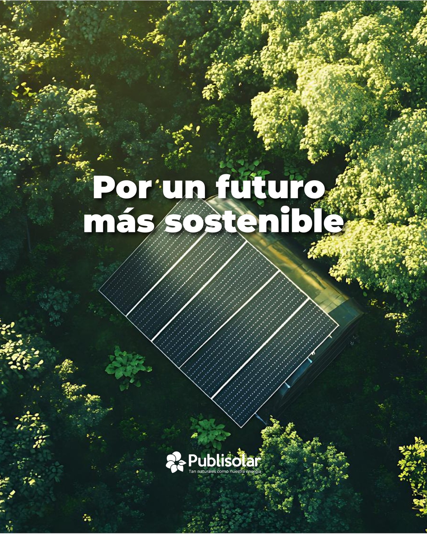 Las placas solares no solo generan energía.
Generan futuro. 💚
Un futuro más limpio, sostenible y conectado con el planeta.
Publisolar. La energía que te conecta.